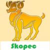 Skopec